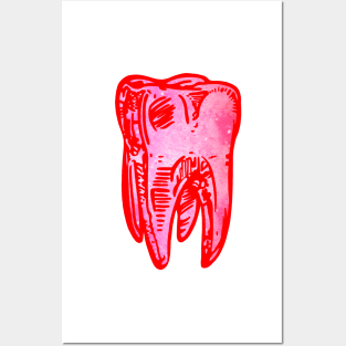 Tooth Posters and Art